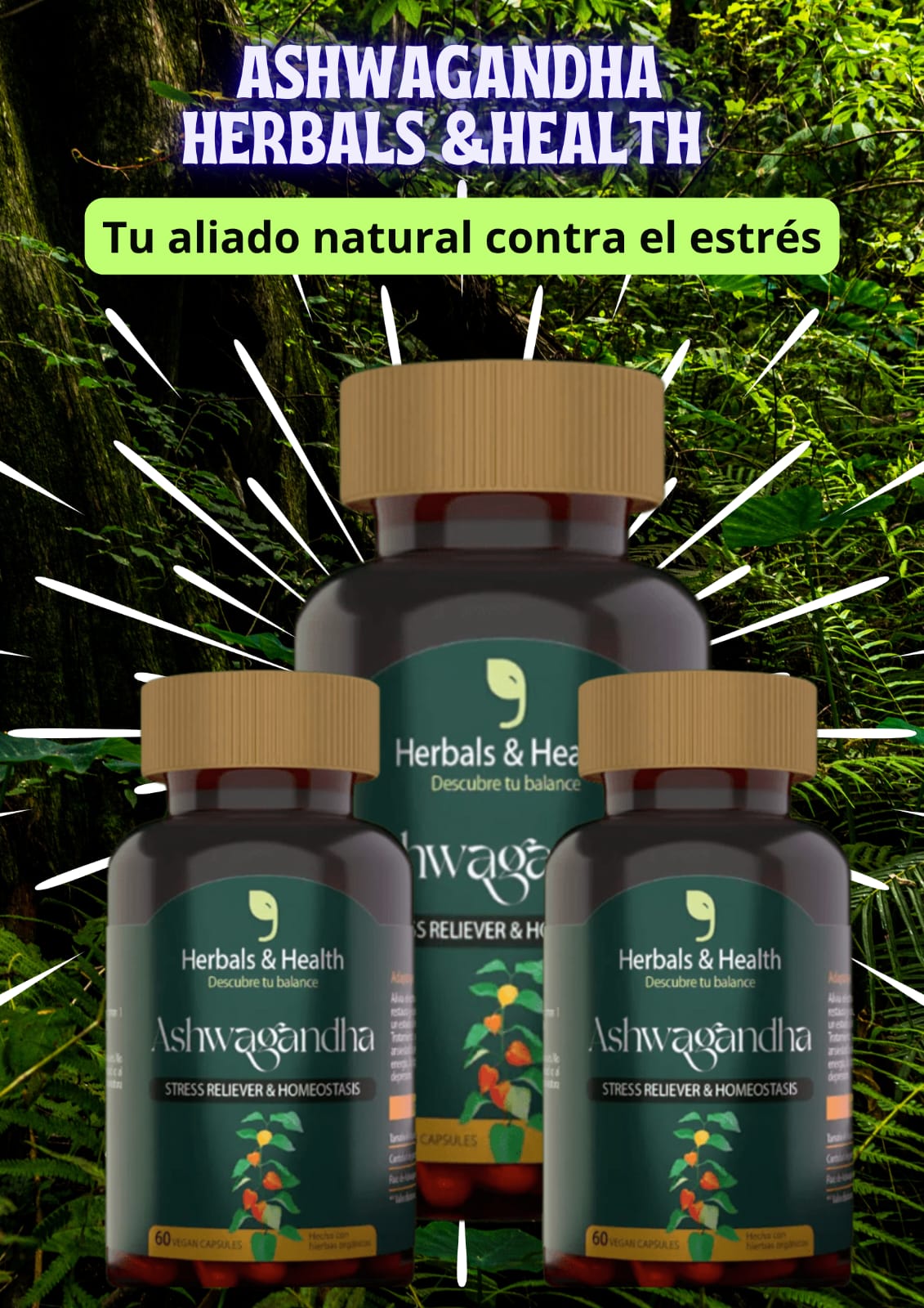 “Ashwagandha Premium: calma, equilibrio y vitalidad en cada cápsula”
